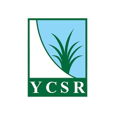 YCSR